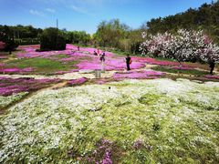 -棒棰岛宾馆景区