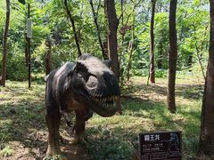 -济南野生动物世界