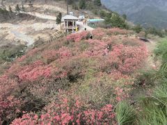 -木兰云雾山