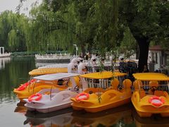 -丰台花园