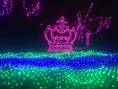 -杭州湾海上花田景区