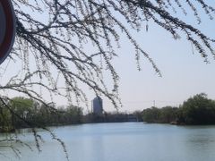 -苏州太湖国家湿地公园