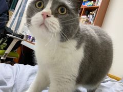 -胜华驾校·小猫学车(银都店)