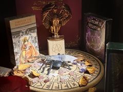 -雪灵魔法世界SHELLY’S TAROT(大良桂畔里店)