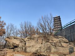 -大伊山景区