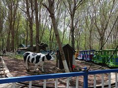 -长白岛森林公园