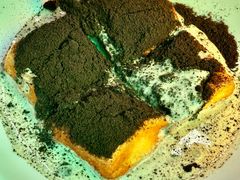 -颓记茶餐厅(美景总店)