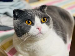 -宠颐生中康贝怡动物医院
