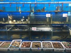 水产区-日照大牌檔•小船海鲜(万平口店)