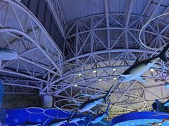 -烟台海昌鲸鲨海洋公园