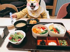 宝宝不能忍·激萌儿童定食-dodonpa.墩墩伐 便当食堂(博华广场店)