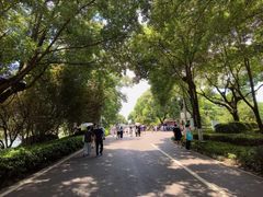 景点-橘子洲景区