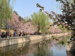 -海棠花溪(元大都城垣遗址公园)
