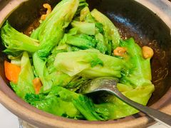 啫啫生菜煲-陶陶居酒家(海岸城店)