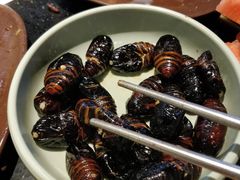 -鼎盛江山美食自助(欢乐城店)