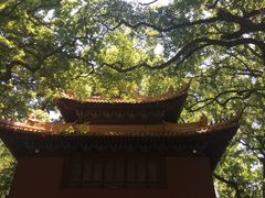 -普陀山风景名胜区-法雨禅寺