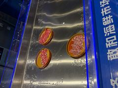 -蓝珊甄选海鲜自助·火锅大排档(近阿那亚店)