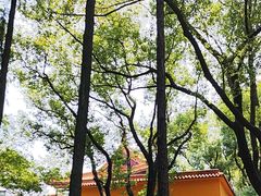 -亭林园-华藏寺