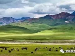 -祁连山草原