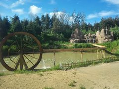 -北纬44度·金珠花海休闲农业旅游景区