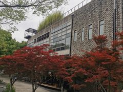 -苏州本色美术馆