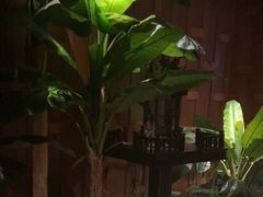 -紫莲花足道(柯桥古镇店)