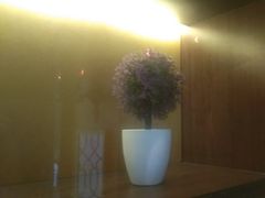 -骑士KTV(红谷滩万达店)