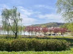 -羊山湖公园