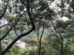 -金鸡山公园