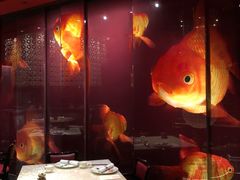 大堂-8餐厅(新葡京酒店)