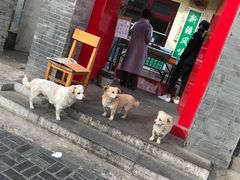 门面-伊隆斋(什刹海店)