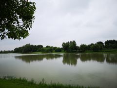 -上膳源有机农场