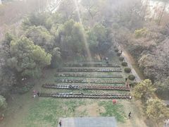 -包公祠