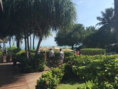 -椰树岛海滩度假村