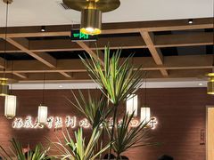 -野妹经典火锅(民治店)