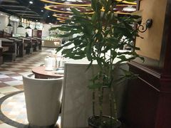 -比亚森自助烤肉料理(裕华店)