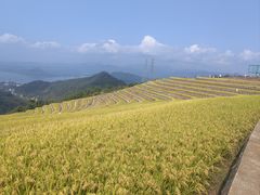 -宝荣鱼馆·临湖之宴(千岛湖店)