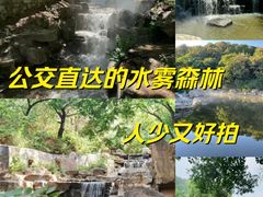 -北京西山国家森林公园