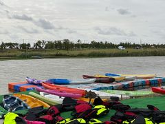 -春花秋色城市公园