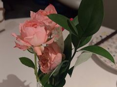 -沿途四季·云南菜·诗酒茶(蓝色港湾店)