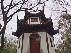 -上海佘山国家森林公园天马山园