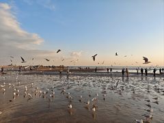 -老虎石海上公园