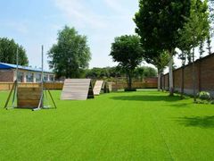 -北京京卫宠物寄养训练中心