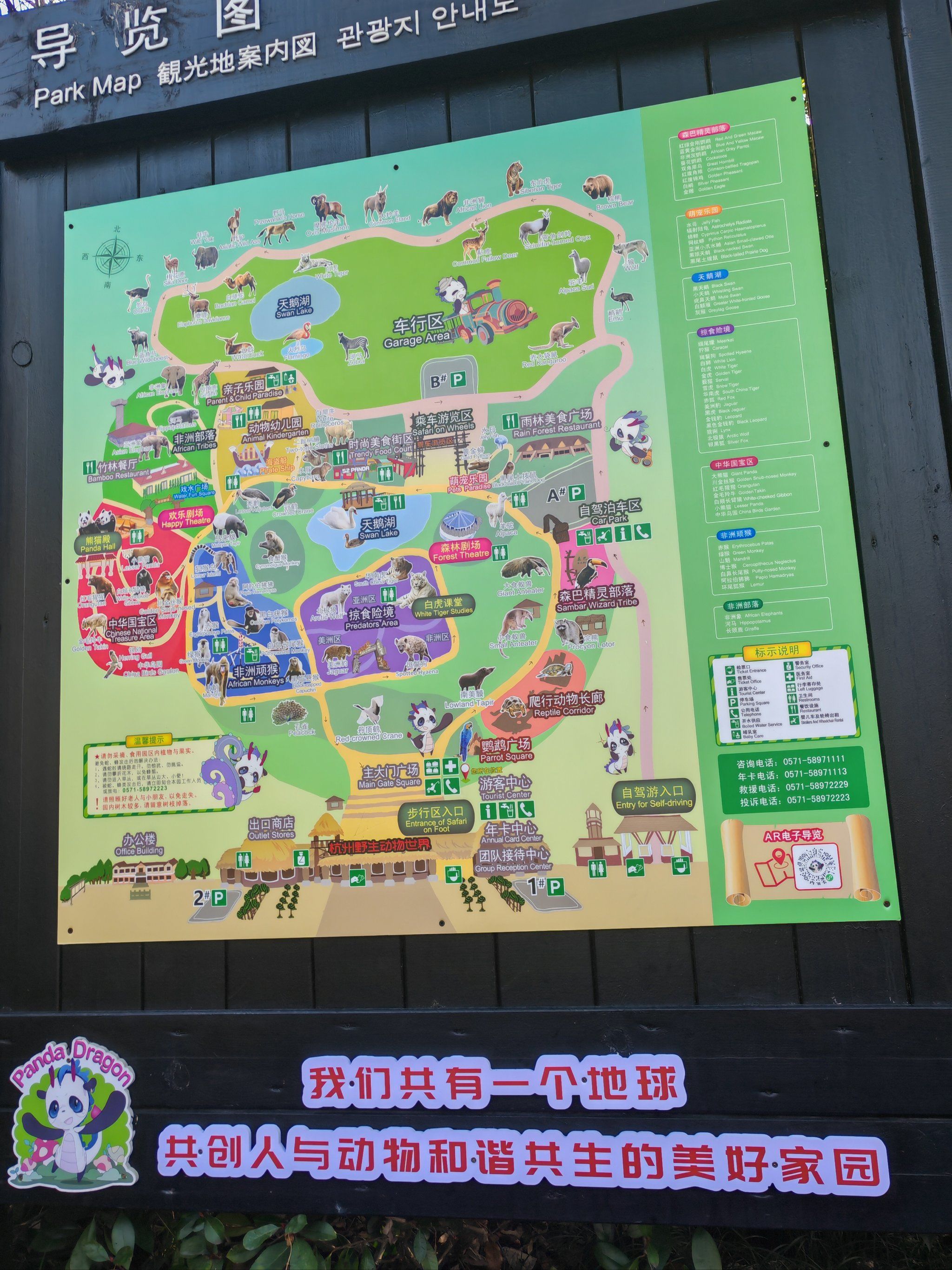 动物园的萌宠大巡游