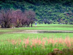 -靖西鹅泉风景区