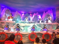 -帝企鹅自助餐厅•儿童岛•真企鹅(长隆企鹅酒店)