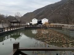 -荷塘味道(水长城店)