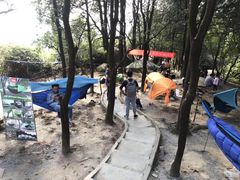 -火炉山森林公园