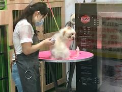 -米卢宠物公园(广华居店)