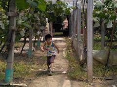 -马陆小张葡萄园农家乐